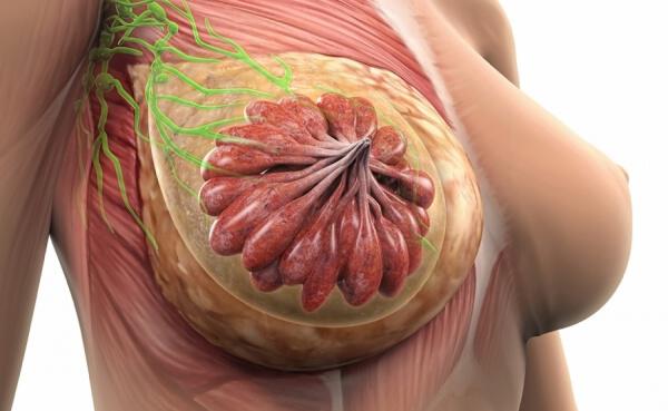 Ινοαδένωμα